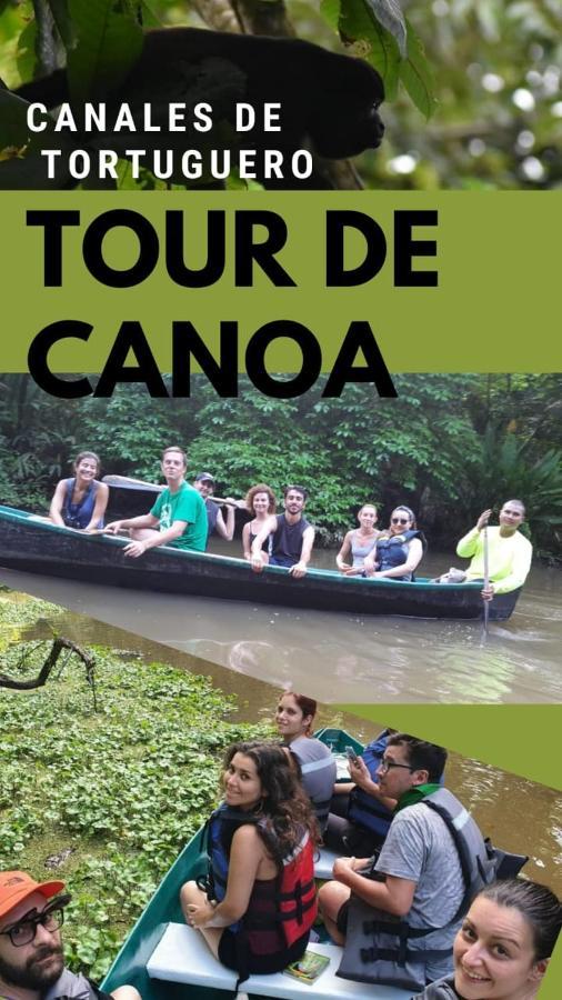 Casa Turtle Bogue Hotel Tortuguero Eksteriør billede