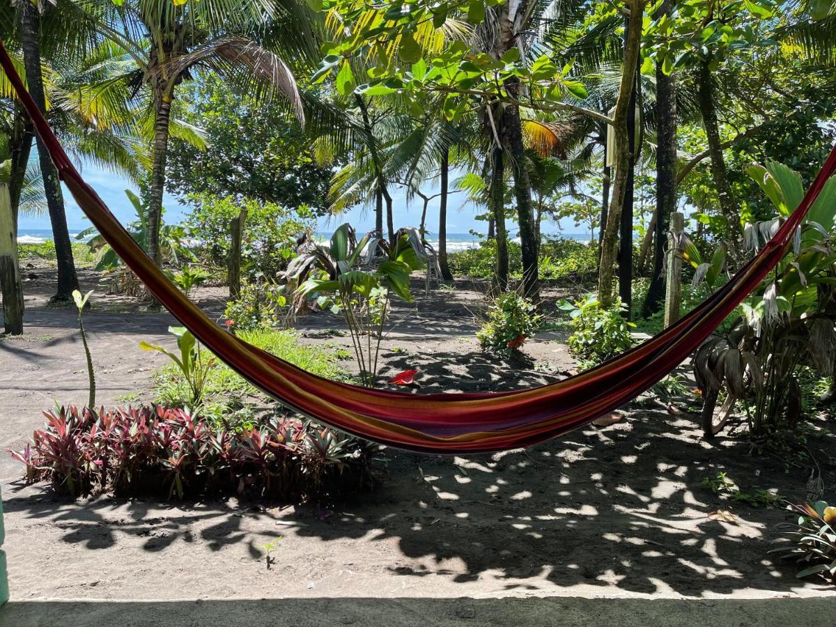 Casa Turtle Bogue Hotel Tortuguero Eksteriør billede