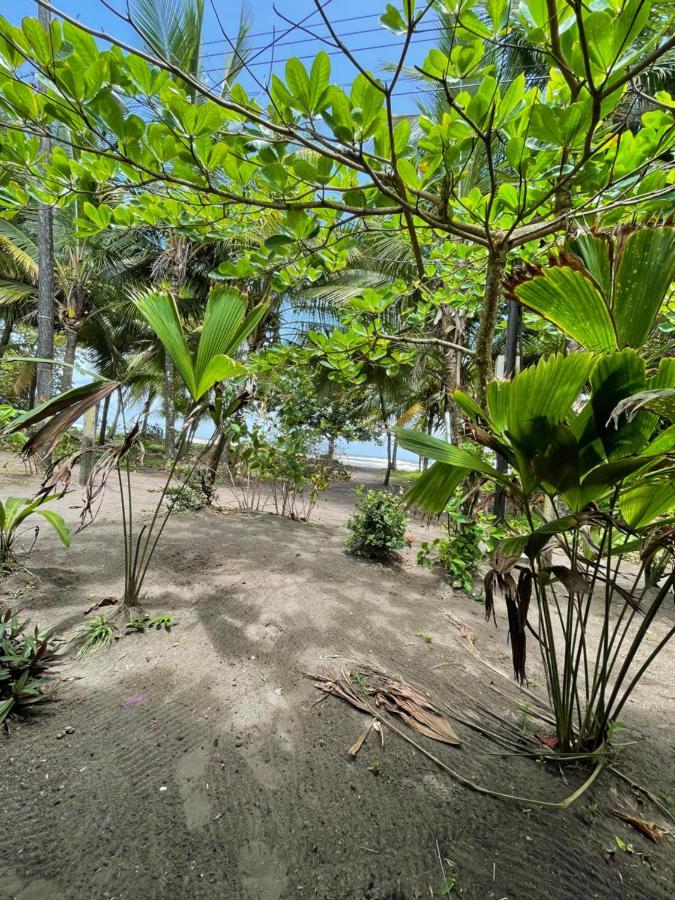 Casa Turtle Bogue Hotel Tortuguero Eksteriør billede