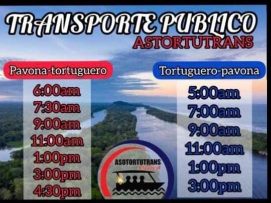 Casa Turtle Bogue Hotel Tortuguero Eksteriør billede