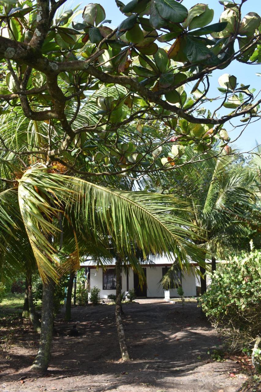 Casa Turtle Bogue Hotel Tortuguero Eksteriør billede