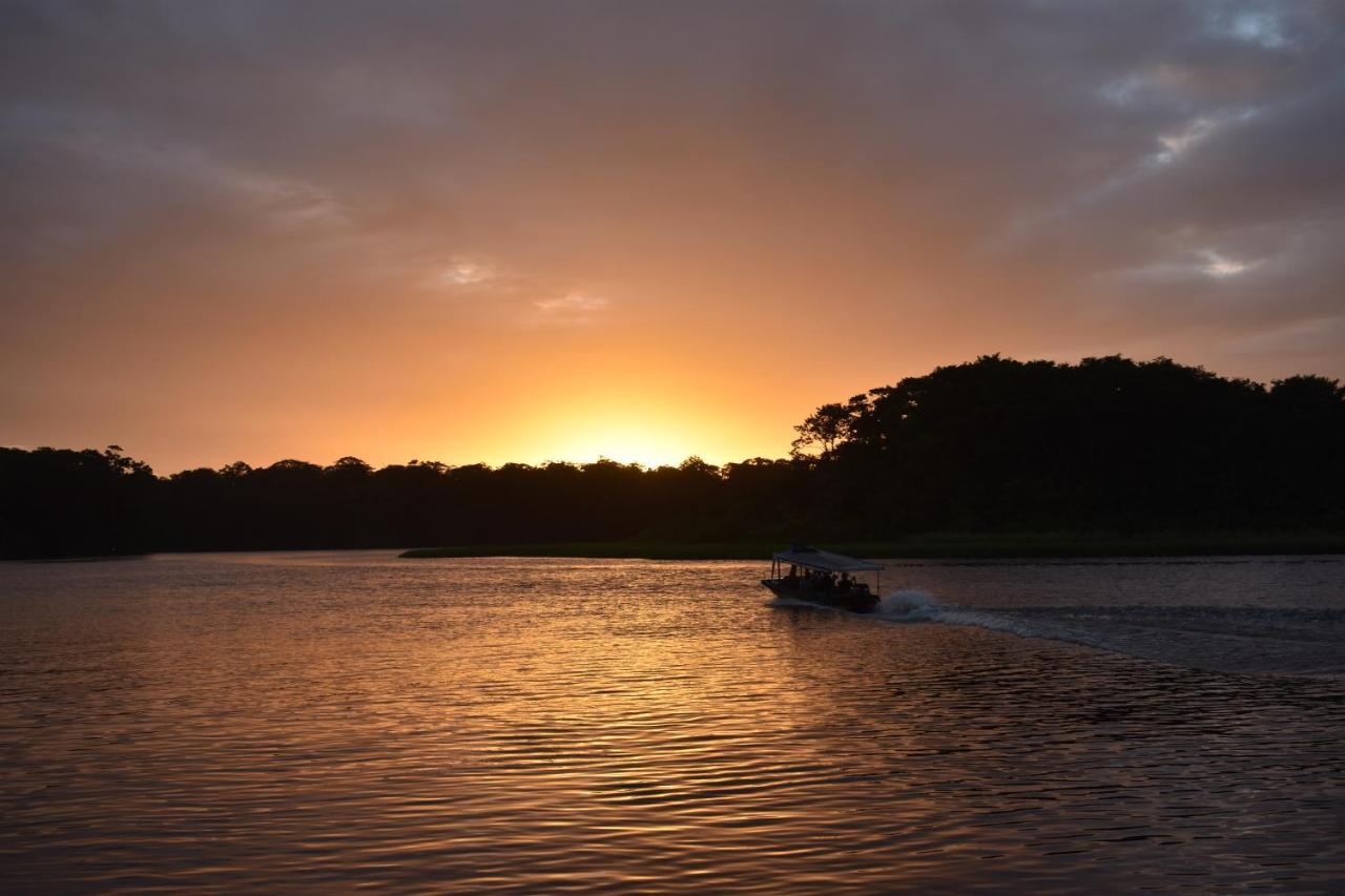 Casa Turtle Bogue Hotel Tortuguero Eksteriør billede