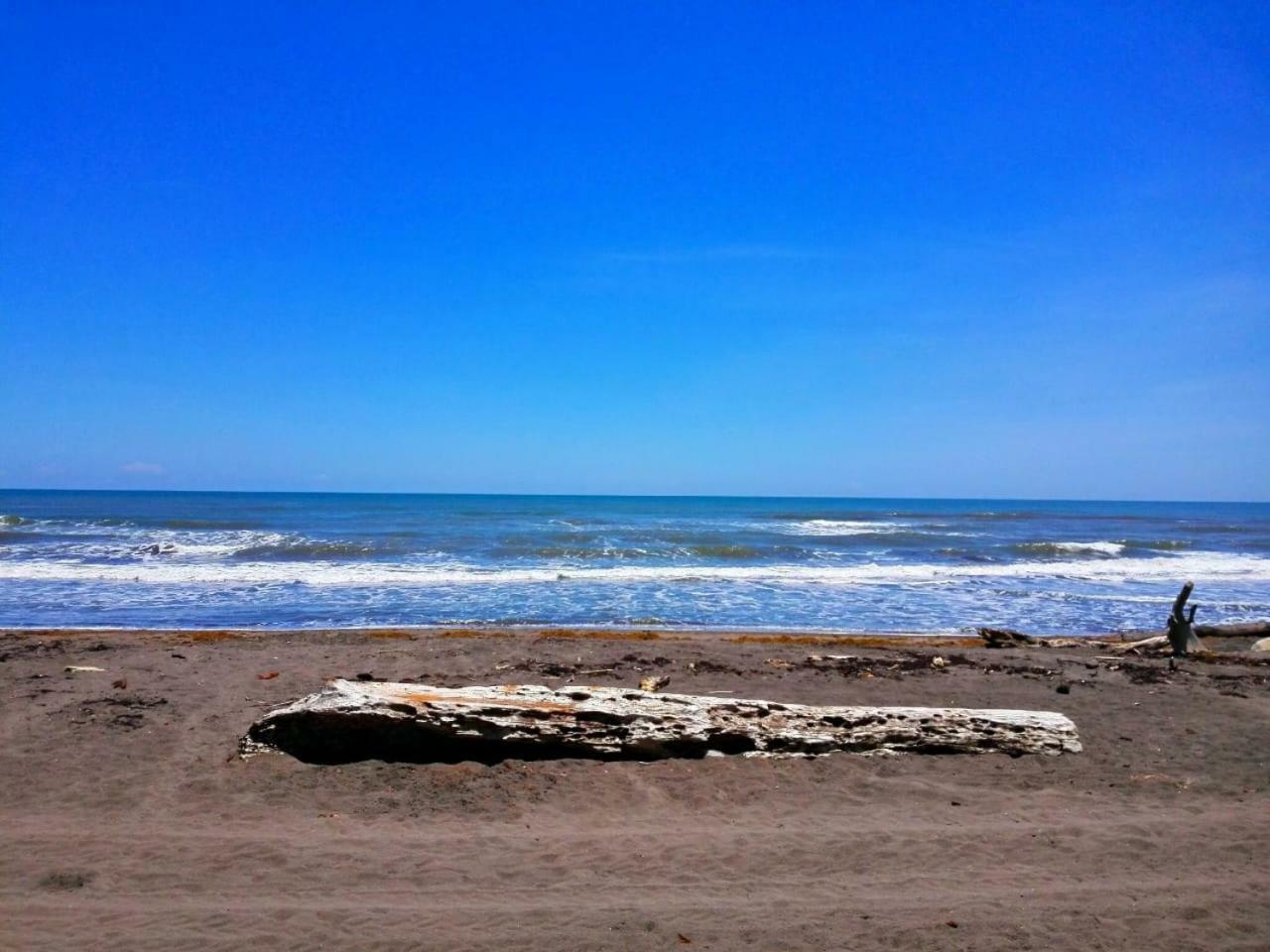Casa Turtle Bogue Hotel Tortuguero Eksteriør billede