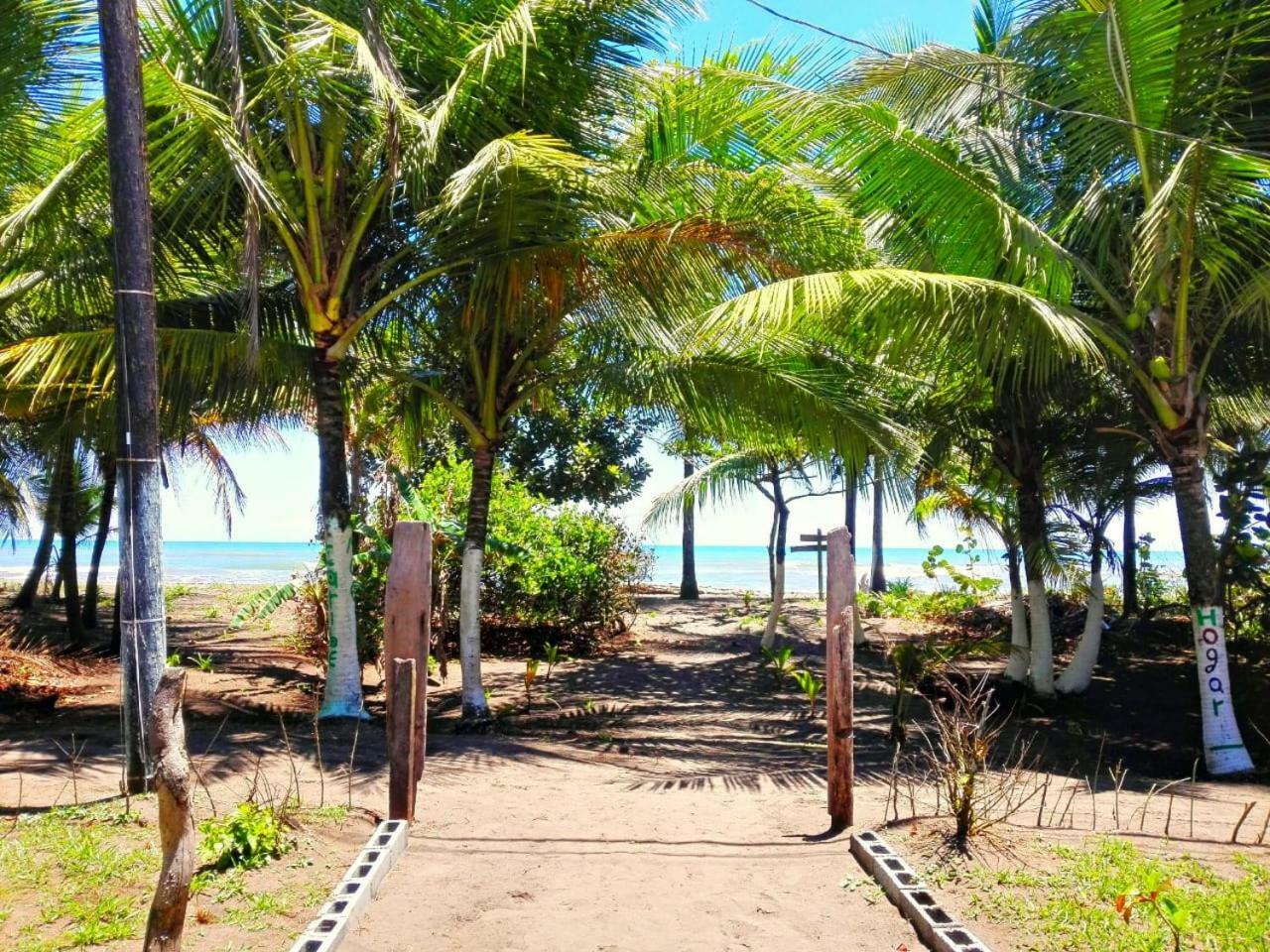 Casa Turtle Bogue Hotel Tortuguero Eksteriør billede