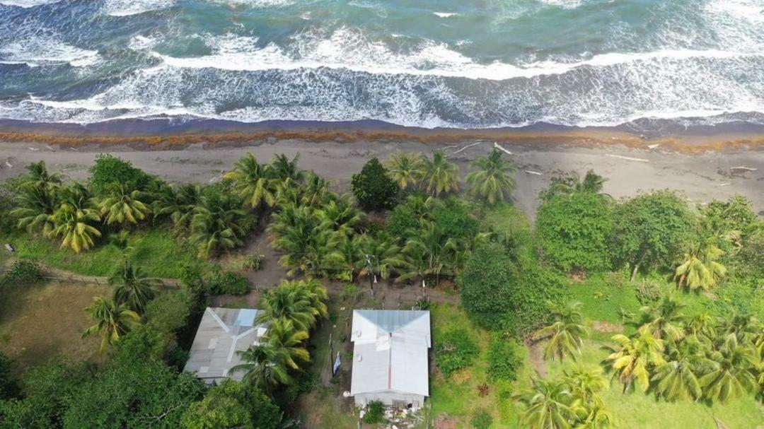 Casa Turtle Bogue Hotel Tortuguero Eksteriør billede